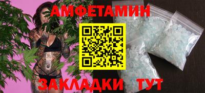 прущие грибы Гатчина