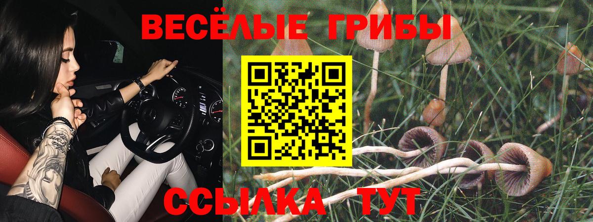 Дятьково  Галлюциногенные грибы мухоморы  Вход с VPN 
