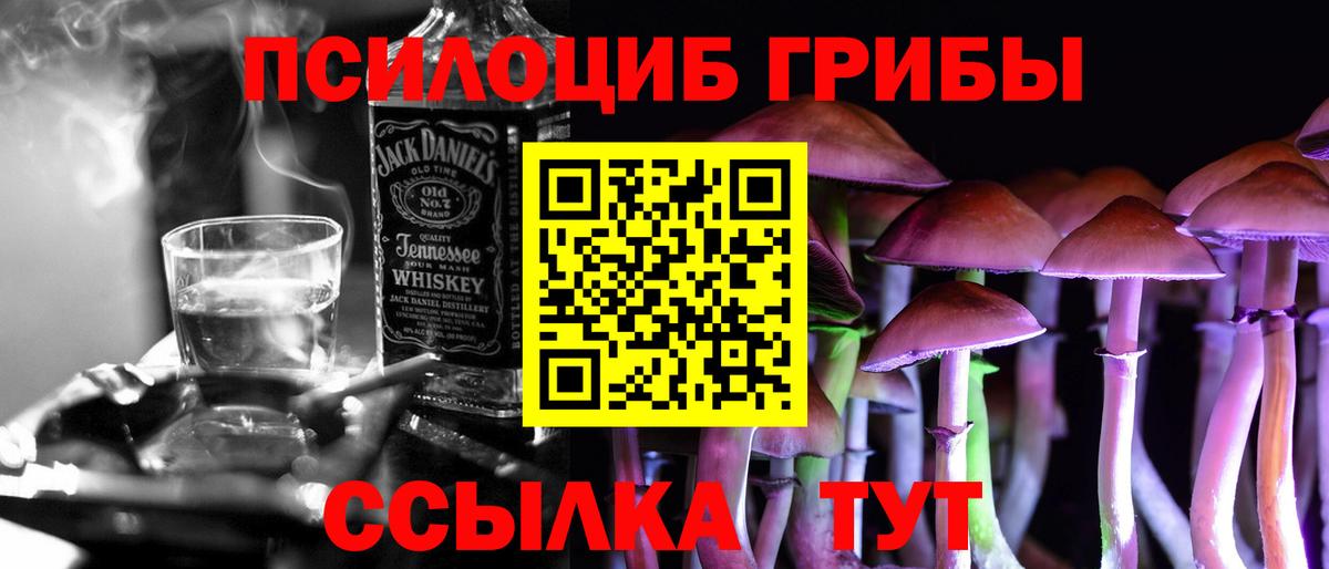 Галлюциногенные грибы Psilocybe Дятьково